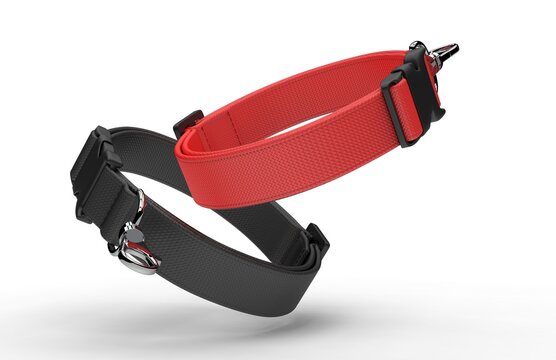 Blank dog adjustable collar belt mock up for branding and design, 3d render illustration.