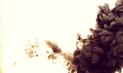 Coffee.