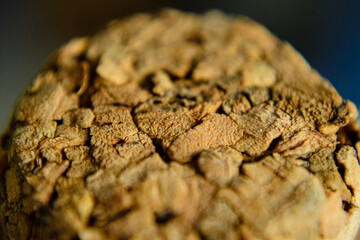 wine cork tops macro with texture top