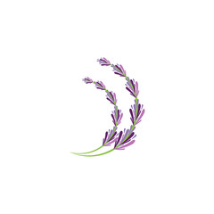 Lavender Logo Template vector symbol