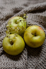 apples with autumn flowers and leaves on the table