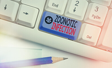Word writing text Zoonotic Infection. Business photo showcasing communicable disease transmitted by...