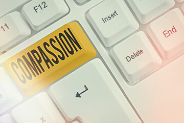 Writing note showing Compassion. Business concept for empathy and concern for the pain or...