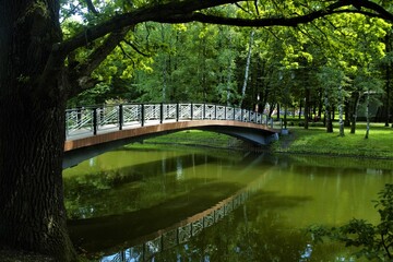 Fototapeta premium bridge over the lake in the park