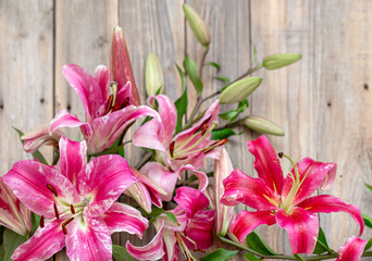 Beautiful, red Lily flowers, scattered on a wooden background.