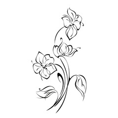 ornament 1234. bouquet of stylized flowers on long stems with leaves in black lines on a white background