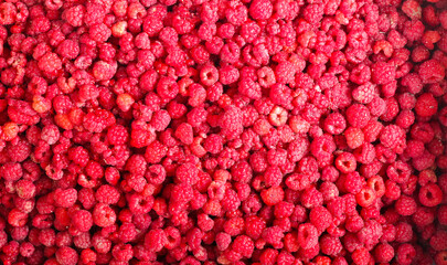 lots of raspberries