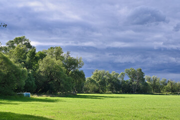 Fototapeta na wymiar Grüne Landschaft mit Wiese und Bäumen und bewölktem Himmel wird von der Sonne seitlich erstrahlt