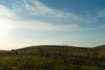 sunset over the field