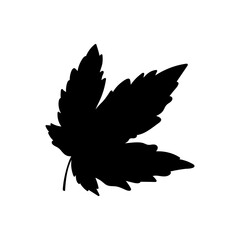 Doodle art leaf icon isolated on white. Canada symbol. Vector stock illustration. EPS 10