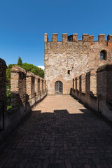 Obraz premium Aurelian walls, Rome. Detail of the south tower of Porta San Sebastiano, at the Appia Antica Regional Park. The walls are from the Roman era and made of brick. Maritime pines. Cloudless sky.