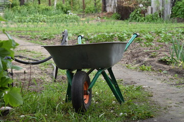wheelbarrow in a garden