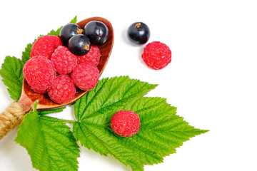 Raspberry and blackcurrant berries on a white background with green foliage.