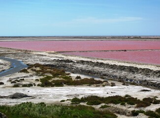Salins de Camargue