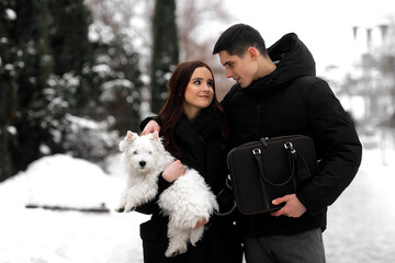 iMAGE OF young couple IN LOVE, looking at each other and hugging a little white puppy dog - west highland white terrier. PORTRAIT of happy couple enjoying time of each other and playing with dog.