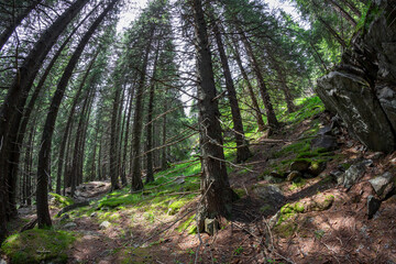 Retezat national park, Hunedoara county, Carpathian mountains, Romania