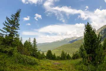 Retezat national park, Hunedoara county, Carpathian mountains, Romania