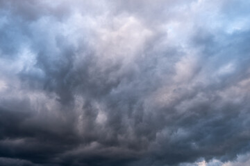 Fototapeta premium storm clouds over the mountains and small birds in a dark sky, slovakia tatras