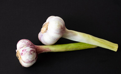 composition of young garlic on a black background