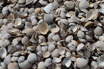 Nature and scenery from around Båstad, Skåne, Sweden