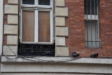 Fototapeta na wymiar pigeons resting on the wall