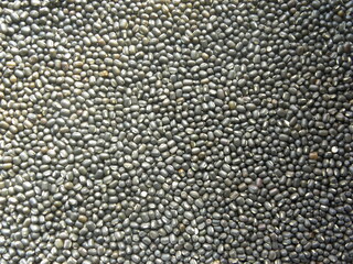 Black color whole raw Vigna mungo Urad dal lentils