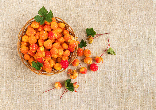 Cloudberry in a basket on a background of burlap. Healthy diet. Collecting forest ripe cloudberries from the forest. Summer berry. Flatlay