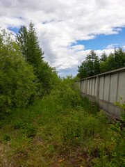Fototapeta na wymiar concrete fence in the forest