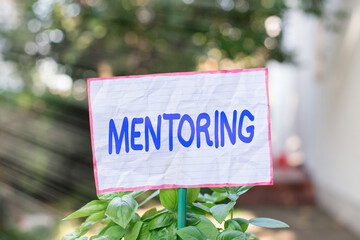 Conceptual hand writing showing Mentoring. Concept meaning an act or method of supporting and...