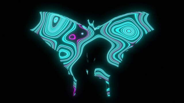 HD video animation of beautiful texture or pattern formation on the butterfly body shape, isolated on black background. 3d rendering abstract loop animation neon lighting effect on butterfly.