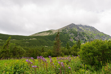 stormy weather in mountains or Veľká Granátová veža , Tatra Mountains, slovakia