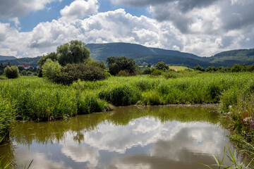 Biotop bei der Voralbgemeinde Eschenbach Baden-Württemberg