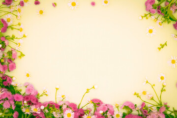 Pink flowers and chamomile on a yellow background. View from above. Beautiful frame. Postcard.