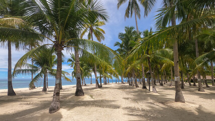 Fototapeta na wymiar sea view with blue sky and palm trees