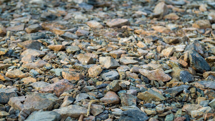 Rocky shore of the lake close up. Large and small stones are illuminated by the hot evening sun. Walk along the beach of a lake in Russia.