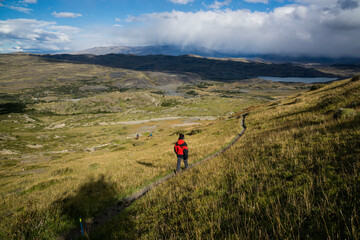 Fototapeta premium Parque nacional Torres del Paine,Sistema Nacional de Áreas Silvestres Protegidas del Estado de Chile.Patagonia, República de Chile,América del Sur