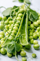 Heap of young sweet organic green pea in pods with sprouts over grey background. Close up