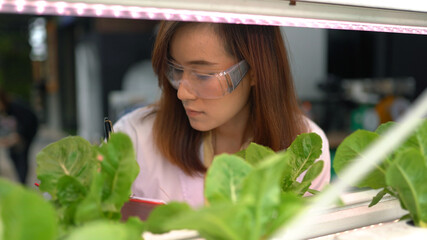 Woman science researching in hydro farm