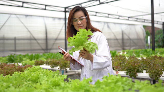 Woman science researching in hydro farm