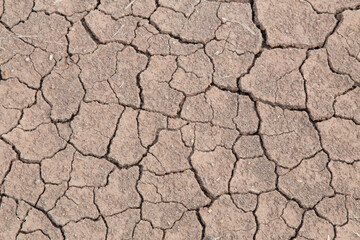 background of cracked dry soil closeup.