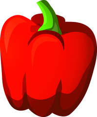 Red Capsicum - tasty vector vegetable