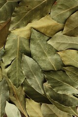 Green Bay leaf on the table macro