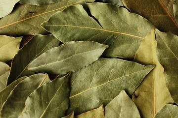 Green Bay leaf on the table macro