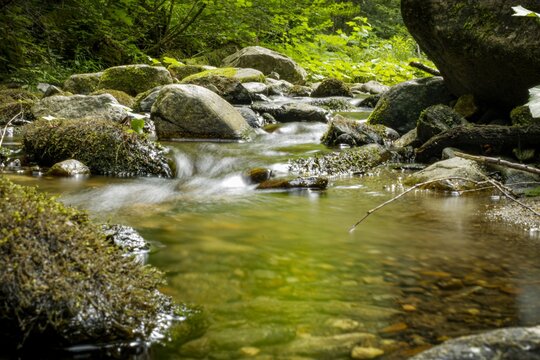 Portraying Nature With A River In Springfield MA