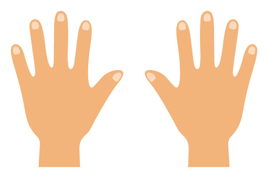 手の甲 の画像 10 226 件の Stock 写真 ベクターおよびビデオ Adobe Stock