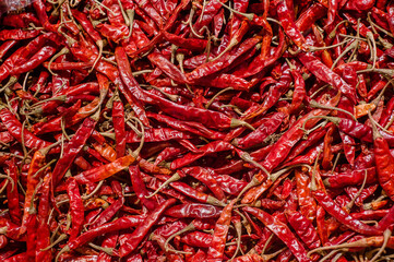 Fototapeta premium Lot of dried chili as a food background.