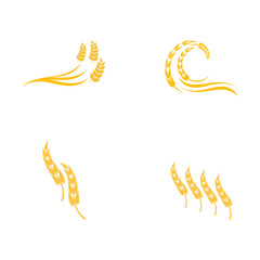 Set Agriculture wheat vector