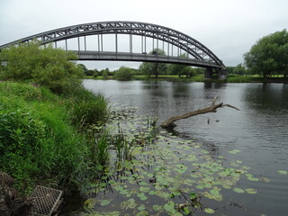 Fototapeta premium bridge over the river