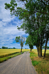Schotterweg mit Feldern und Windrädern in der Uckermark zwischen Baumgarten und Cremzow