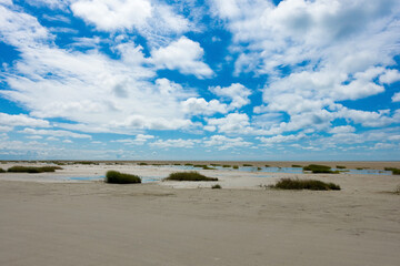 Naturstrand Landschaft im Wattenmeer an der Nordsee mit Strandhafer auf der Insel Fanø in Dänemark